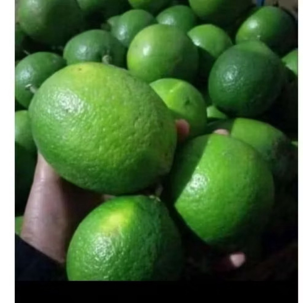 lemon california 1kg