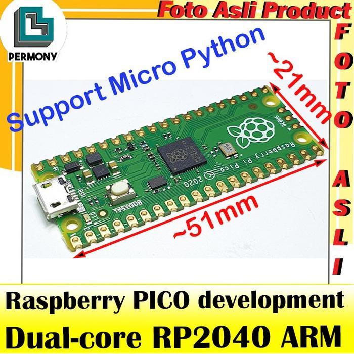 Raspberry Pico RP2040 arm cortex m0 - RP2040