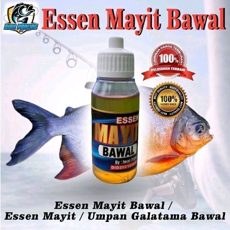 Satspam - Essen Mayit Bawal / Essen Mayit / Umpan Galatama Bawal Umpan Ikan Populer