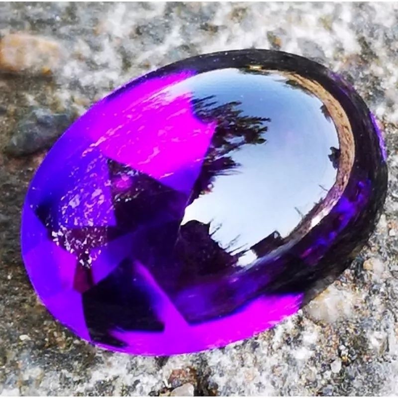 KECUBUNG BUNGUR TANJUNG BINTANG HIGH QUALITY