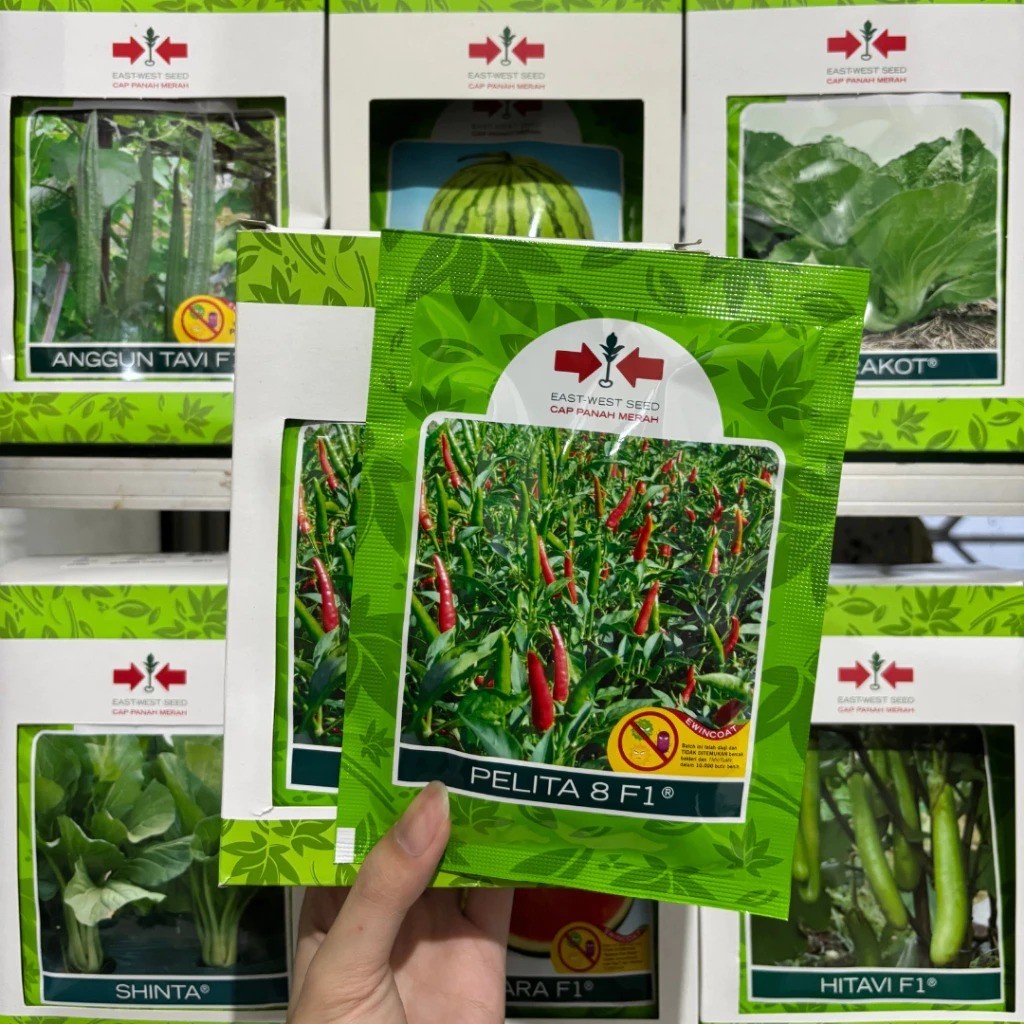 benih cabe PELITA 8 F1 2250 butir cabai rawit hijau dari panah merah