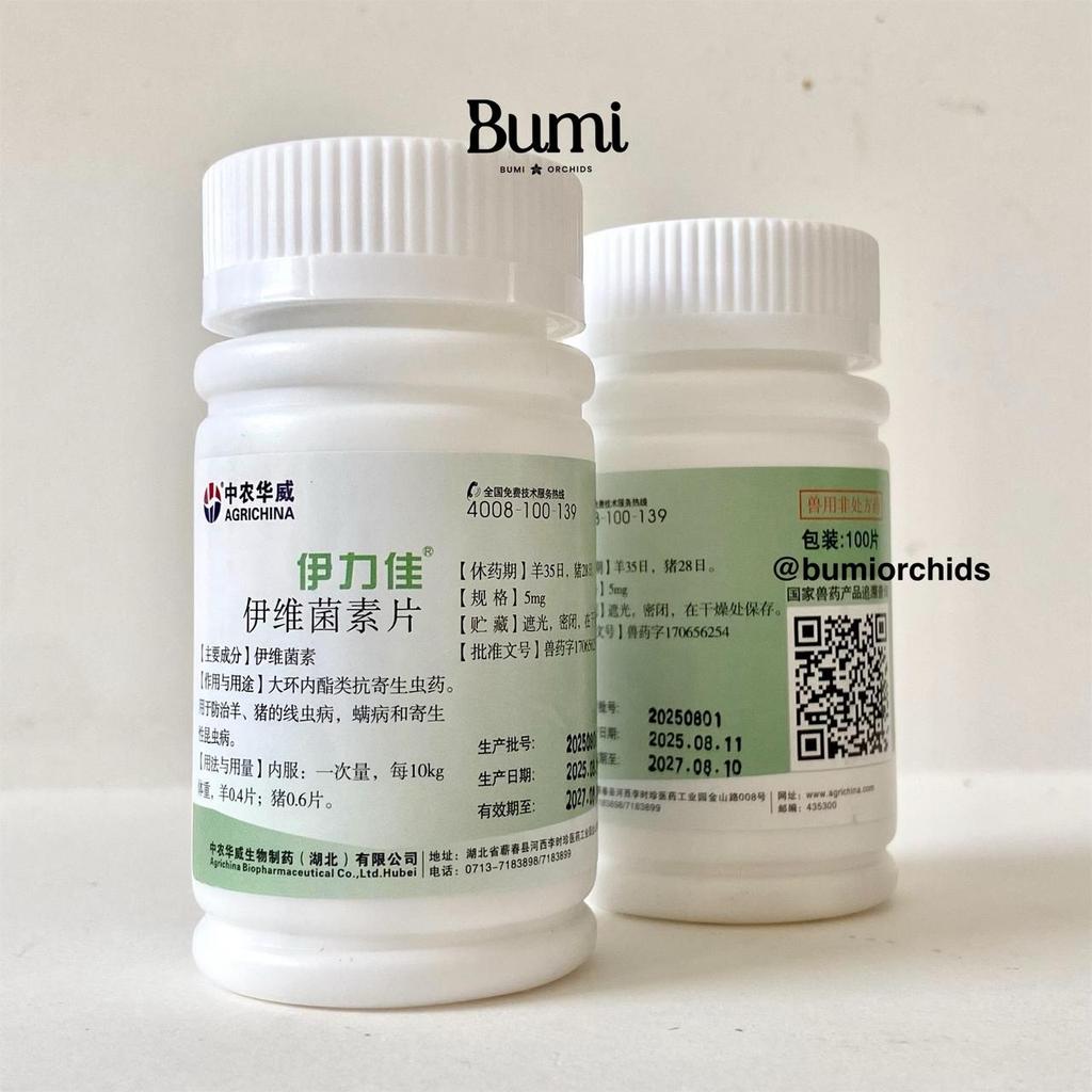 Obat Ivermectin Taiwan Isi 100 Tablet 5 mg Kutu Parasit Cacing Hewan Anjing Kucing Kuda