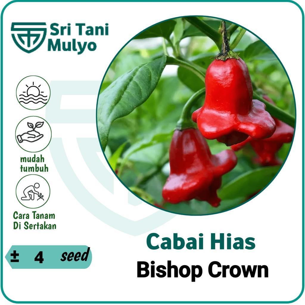 4 Biji - Benih Cabe Hias Bishop Crown Pepper Cabai Bentuk Mahkota Bibit Cabe - Sri Tani Mulyo