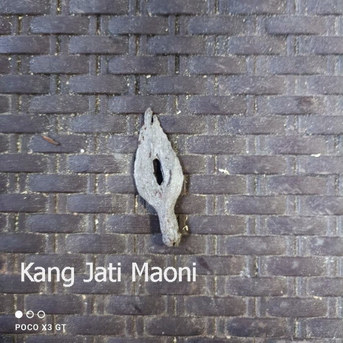 pusaka tombuk klewer sepuh pamengang Asli Paling Mewah DS4333