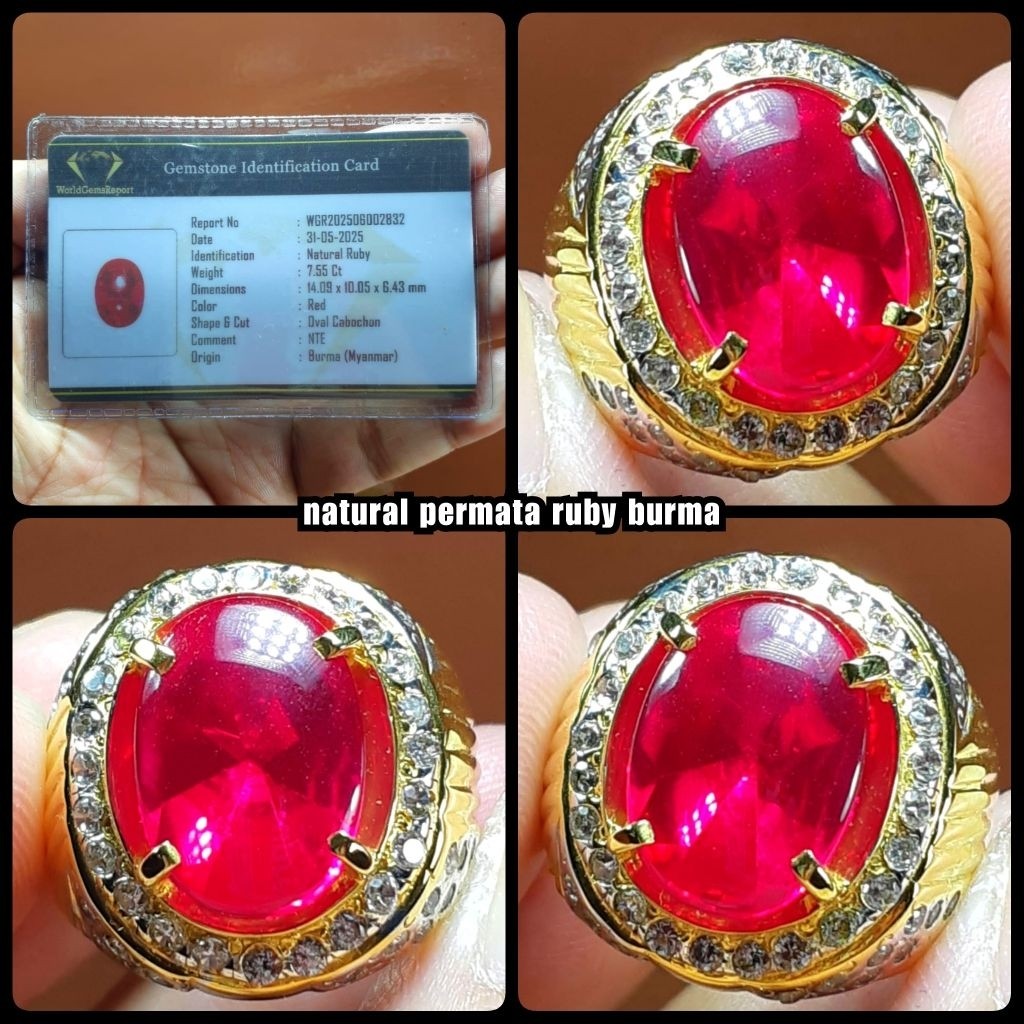 RUBY JUMBO DELIMA + ( ASLI BURMA MYANMAR SUPER )