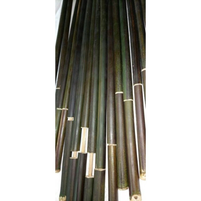 Mainan Tradisional Pletokan Tembakan Bambu