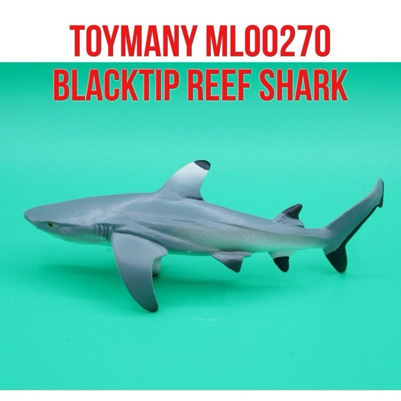 ToyMany ML00270 | BlackTip Reef Shark Ikan Hiu Karang Sirip Hitam Carcharhinus Melanopterus | Mainan