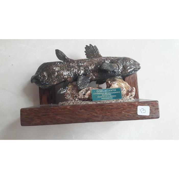 ASLI PATUNG KERAMIK RARE  IKAN PURBA COELACANTH No 13