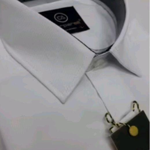kemeja pria garis garis miring carparelli  Panjang - Putih, M