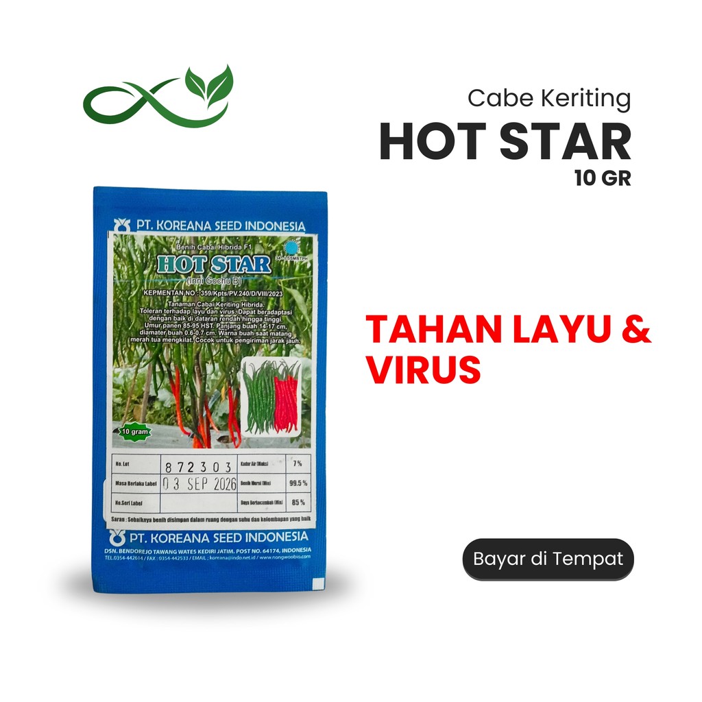 Benih Cabe HOT STAR F1 10 gr Original Koreana Seed – Tahan Layu & Virus
