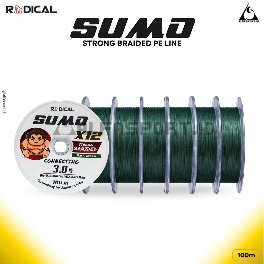 [ X12 ] Senar Pancing RADICAL PE Sumo Multicolor Dark Green 100–300M untuk Casting Laut