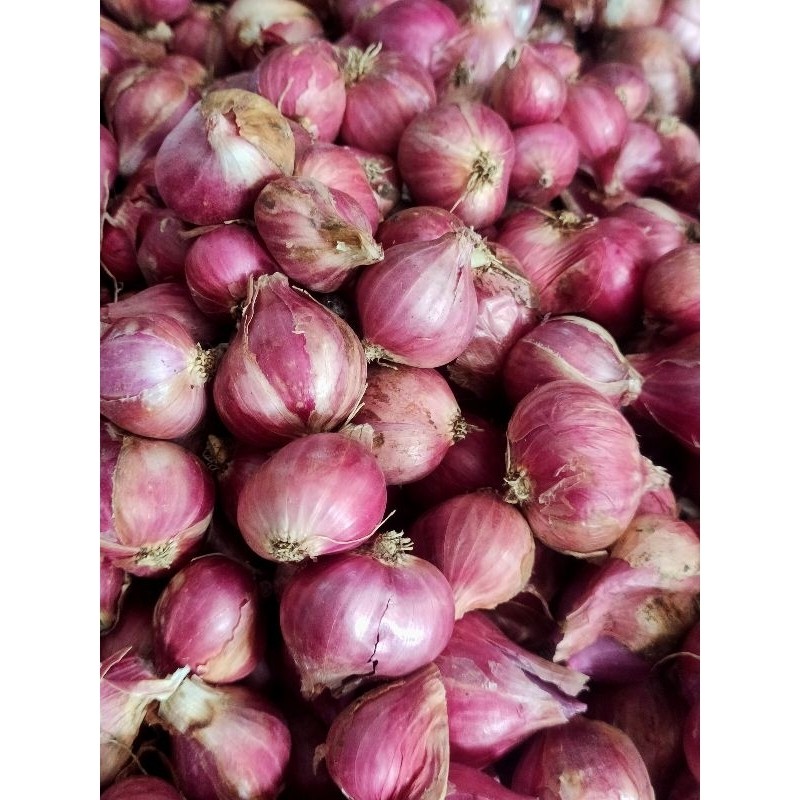 bawang merah probolinggo 1 kilo