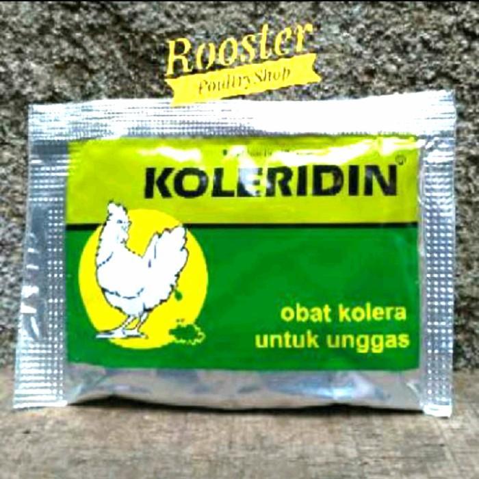 Obat Ayam Sakit Berak Hijau KOLERIDIN Sachet