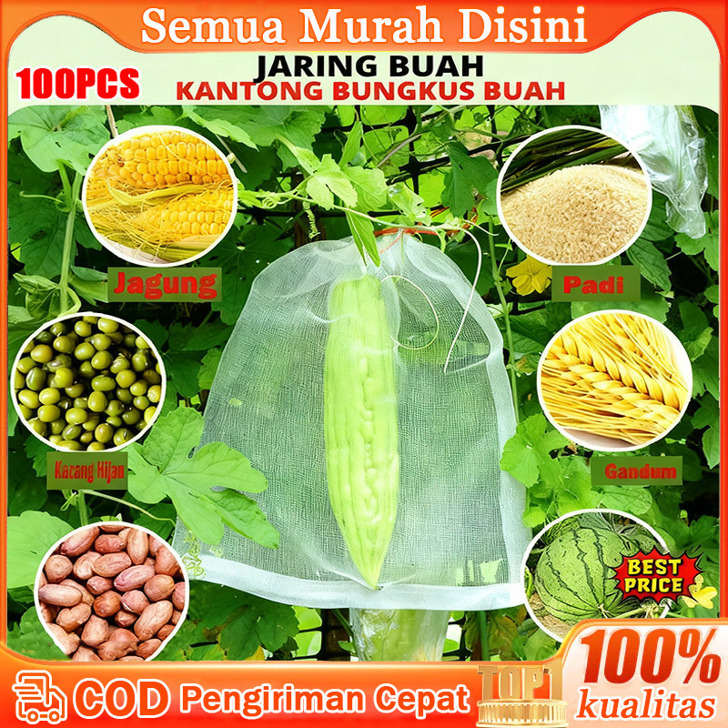 100/200pcs Fruit Cover Pembungkus Buah Fruit Cover Anti Serangga Tembus Pandang Fruit Cover Anggur T