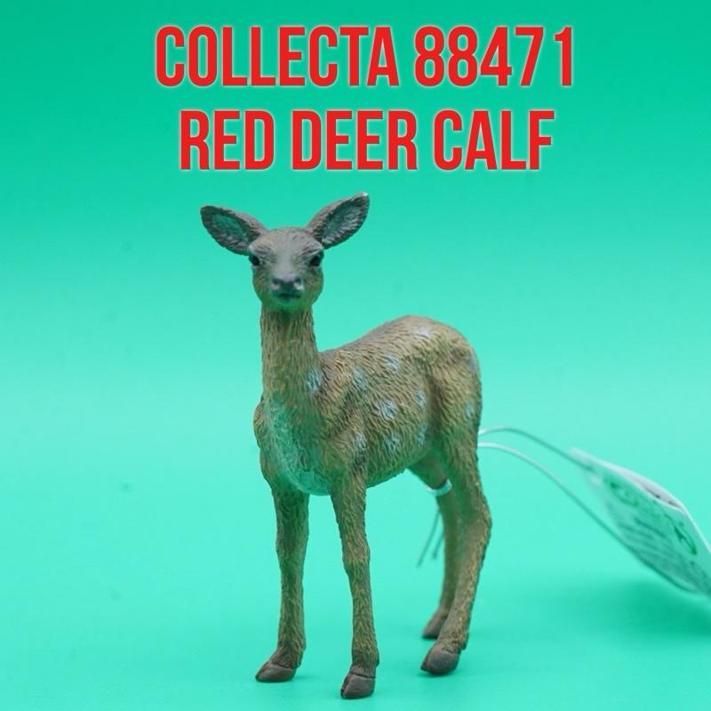 Collecta 88471 Red Deer Calf Anak Rusa Merah Betina Cervus Elaphus | Mainan Figure Binatang Miniatur