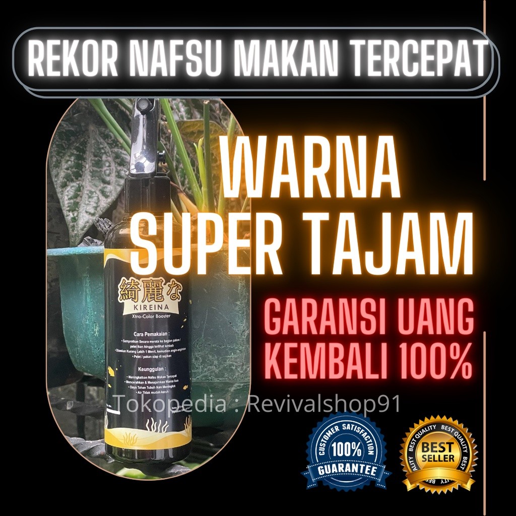 Probiotik Ikan Koki,Probiotik Ikan Koki Terbaik,Probiotik Untuk Ikan Koki,Probiotik Ikan Mas Koki,Pr