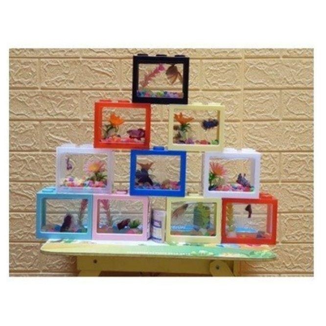 Akuarium Ikan Cupang Akrilik Aquarium Mini Akuarium Cupang Mini