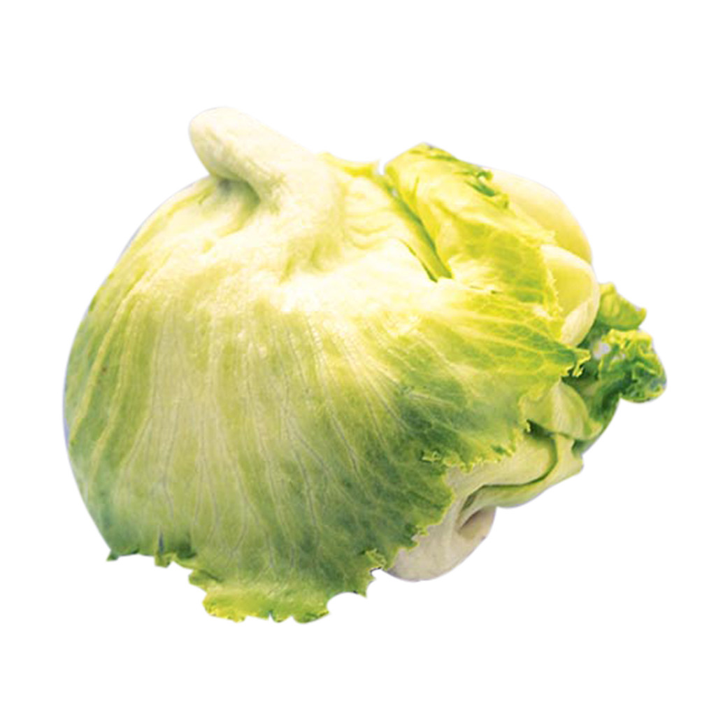 LETTUCE HEAD KG