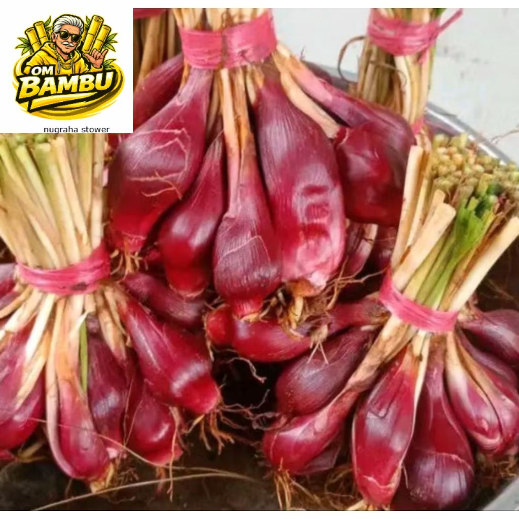 Bawang Dayak Basah Segar 100 Gram