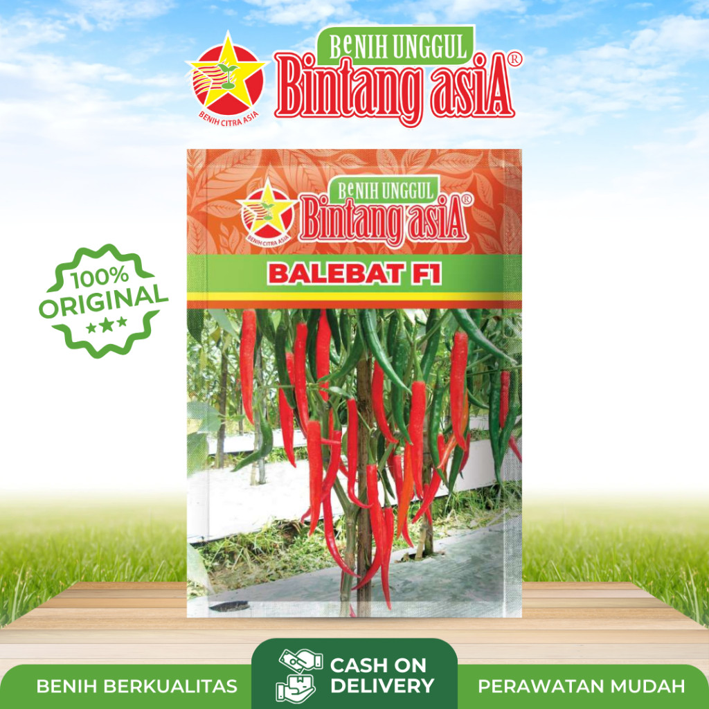 Benih Cabai Cabe Merah Besar Balebat F1 Cap Bintang Asia Kemasan 10gr PT BENIH CITRA ASIA Benih Ungg