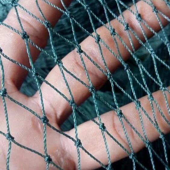 PROMO  Jaring ayam lubang kecil 2 cm ukuran tinggi 3 meter x panjang 12-15 meter jaring serbaguna ja