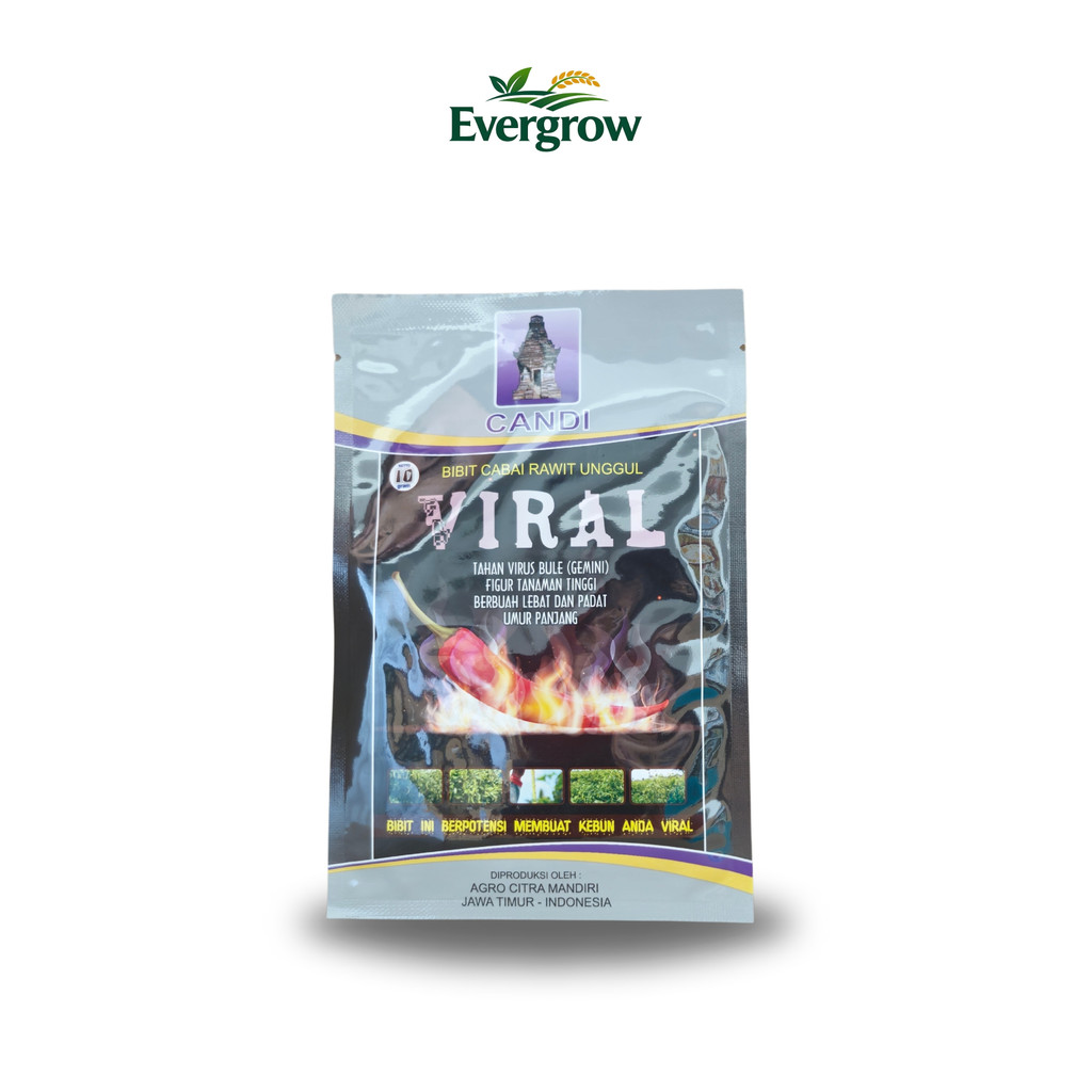 Benih Cabe Rawit VIRAL 10 gr Original Cap Candi