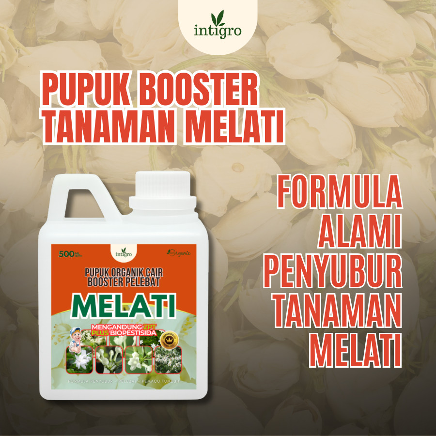 500 ML Pupuk Pelebat Bunga Melati / Pupuk Untuk Bunga Melati / Pupuk Penyubur Bunga Melati / Pupuk B