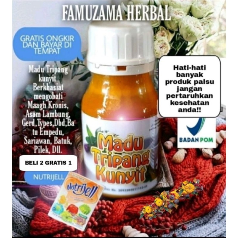 MADU TRIPANG KUNYIT 100% ASLI (Bukan Oplosan) UNTUK MAAGH KRONIS SAKIT LAMBUNG, GERD, ANXIETY, DLL