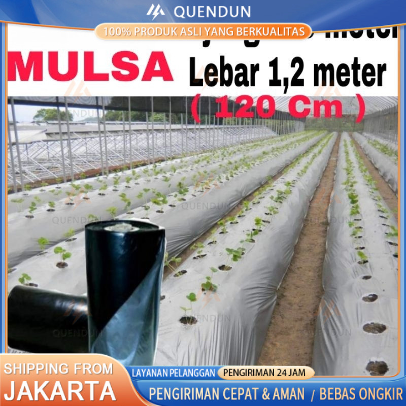 PLASTIK MULSA ( 1 ROLL ) panjang 250 meter * Lebar 120cm (1,2meter)