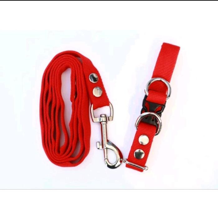 kalung tali anjing bahan tebal - hitam