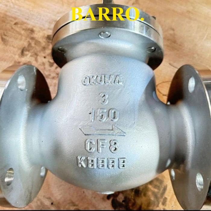 Swing Check Valve 6" Inch SS304 Ansi 150  DN150 Stainless (CF8)