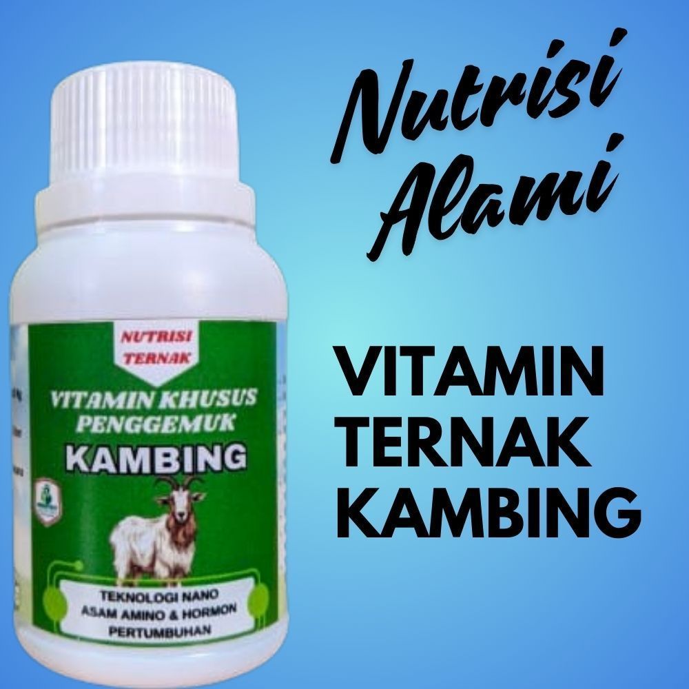 Vitamin Khusus Kambing Biar Gemuk Obat Penggemuk Kambing Domba Obat Nafsu Makan Kambing Domba  Obat 