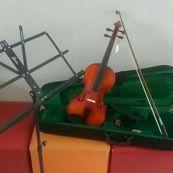Paket Biola Vienna lengkap