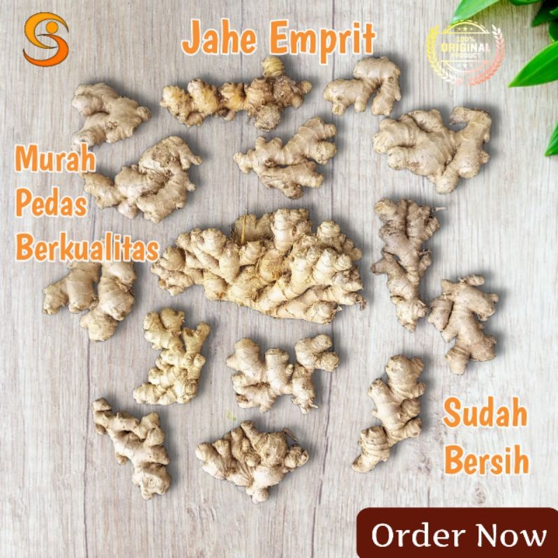 Jahe emprit rempah rempah segar 1kg jahe kecil lebih pedas sudah bersih original jahe mprit paris