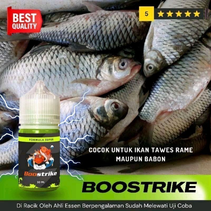 KAMLANGGOLD - 30 ML -  Essen Ikan Tawes, Umpan Ikan Wader | Boostrike Essen Umpan Jitu Andalan Peman