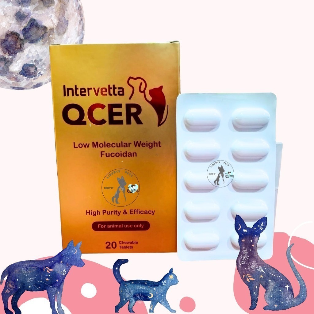 QCER Intervetta Obat Kanker Tumor Cancer Cat Dog Kucing Anjing (1 Tablet)