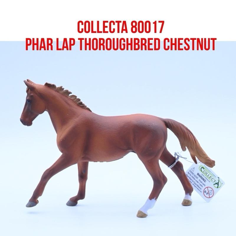 CollectA 80017 Phar Lap Thoroughbred Stallion Chestnut Horse Kuda Jantan Equus Caballus | Mainan Bin