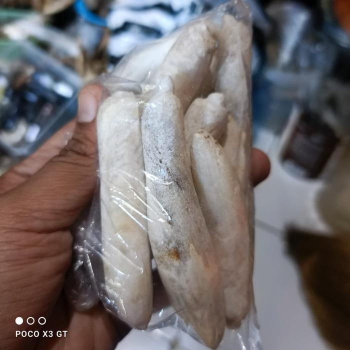 pusaka fosil kantil ajaib bnnya menghitam malah memutih KJM1122 LSP 8