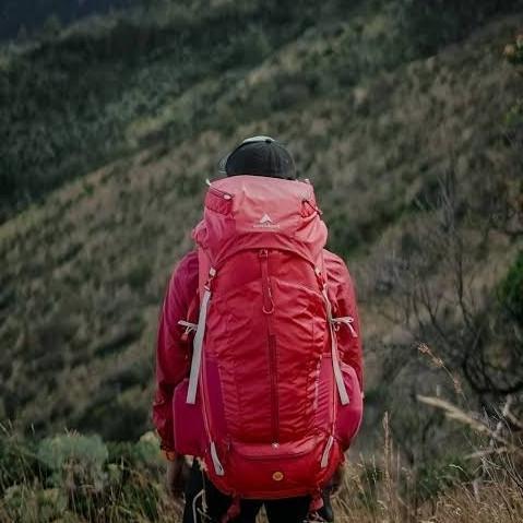 tas gunung eiger excelsior 65 new bnwt limited