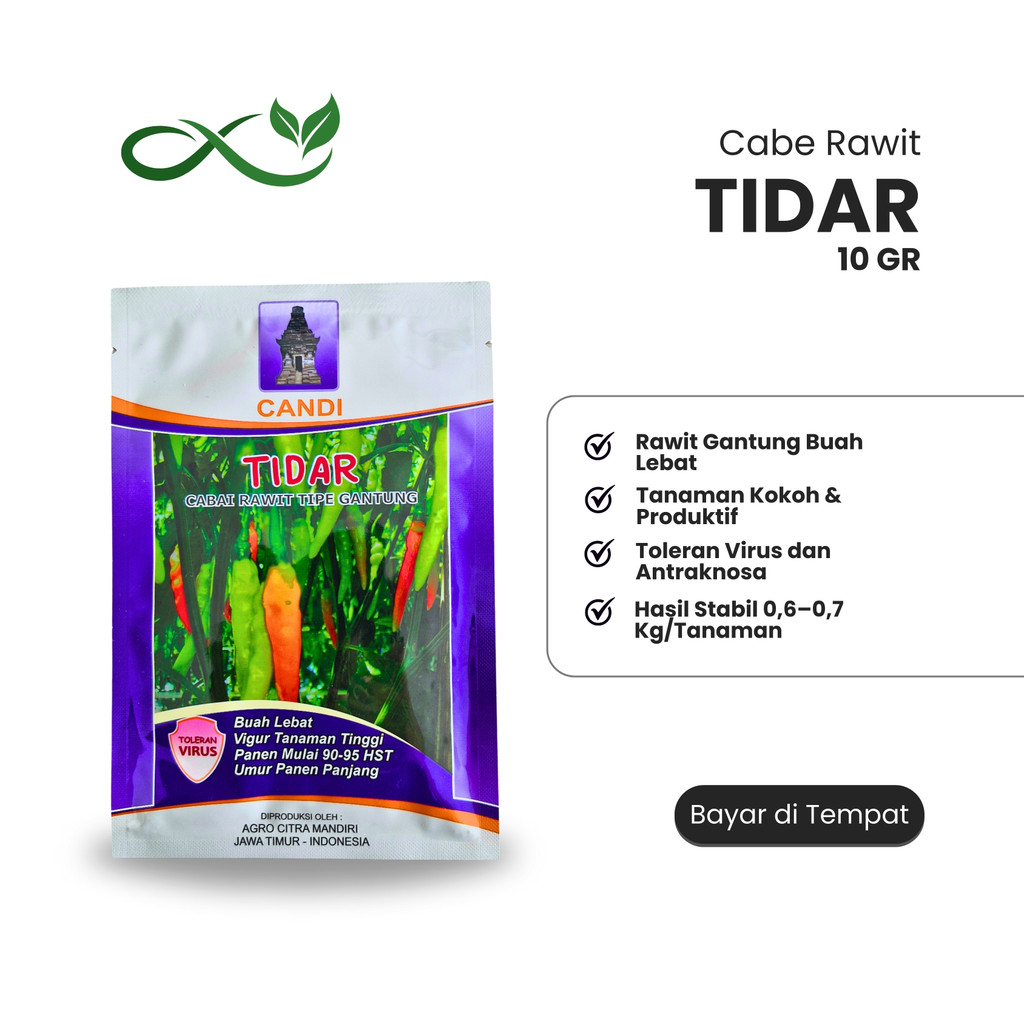 Benih Cabe Rawit Tidar 10gr - Tahan Virus & Fusarium Original Cap Candi