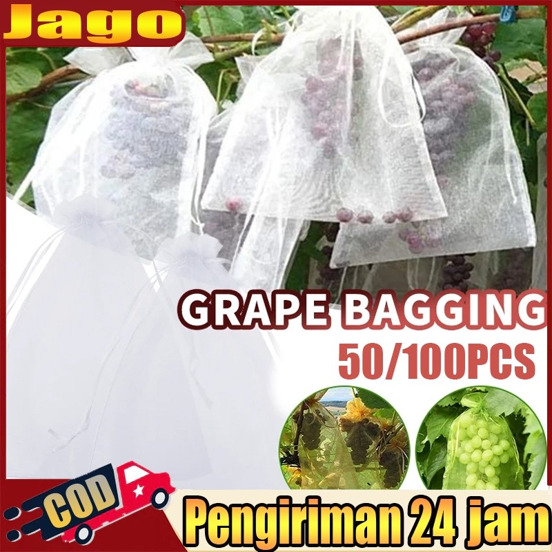 100PCS Fruit Cover/Pembungkus Buah/Fruit Cover Anti Serangga/Fruit cover net jaring transparan pembu