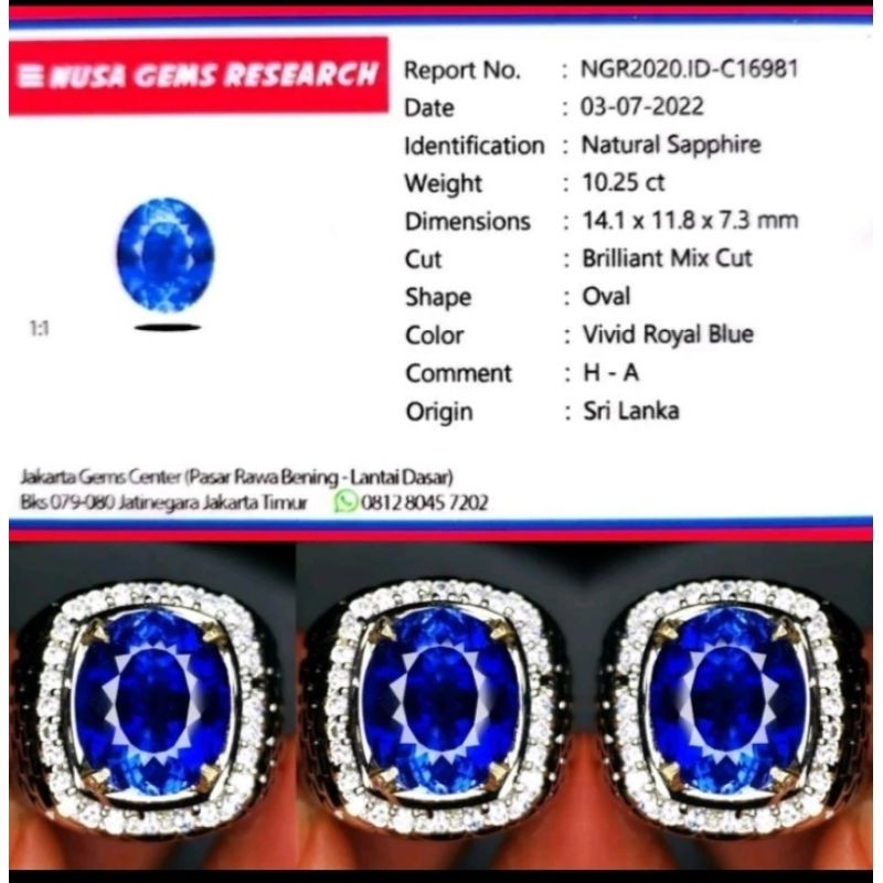 Blue sapphire vvd royal blue + MEMO