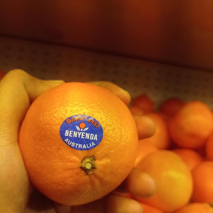 Jeruk Mandarin Daisy / Dancy Australia manis segar 1 kg