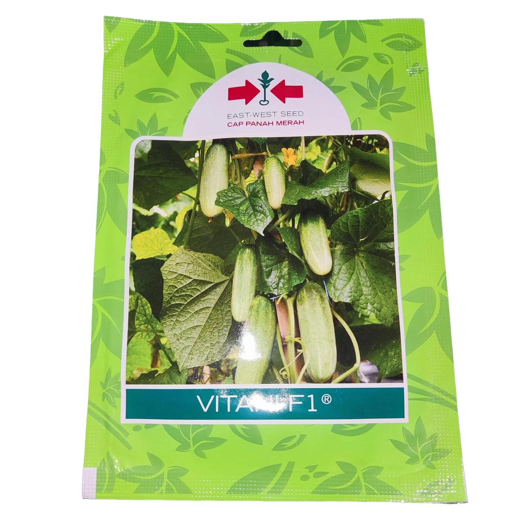 Bibit Biji Benih Mentimun Vitani F1 175 Biji Cap Panah Merah Timun Baby