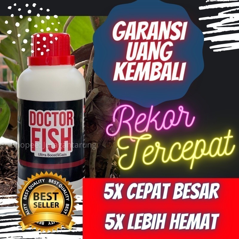 Vitamin Ikan Gurame, Vitamin Ikan Gurame Agar Cepat Besar,Vitamin Ikan Gurame Supaya Cepat Besar,Vit