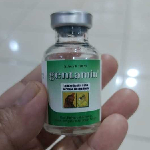 GENTAMIN 20ML INJEKSI OBAT AYAM BURUNG SAKIT KORISA KOLIBASILOSIS SNOT CRD INFEKSI PERNAFASAN