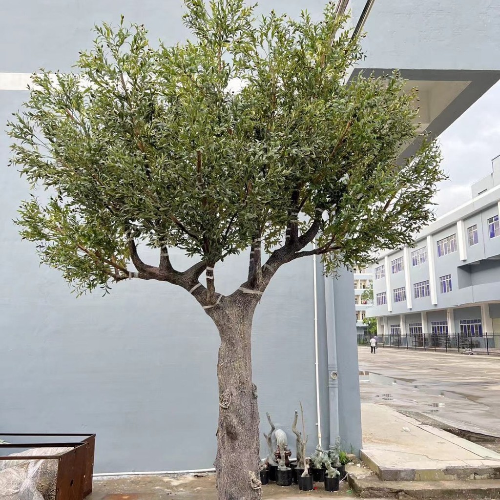 Large simulated olive tree,decorative tree for shopping malls&hotels,fiberglass artificial olive tre