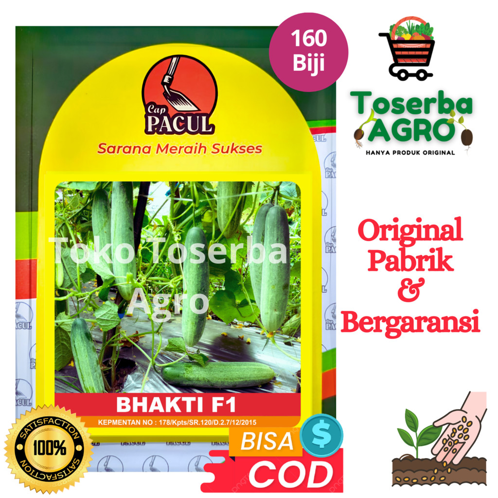 Benih Bibit Timun Hijau Besar Tahan Virus BHAKTI F1 160 Biji Cap Pacul
