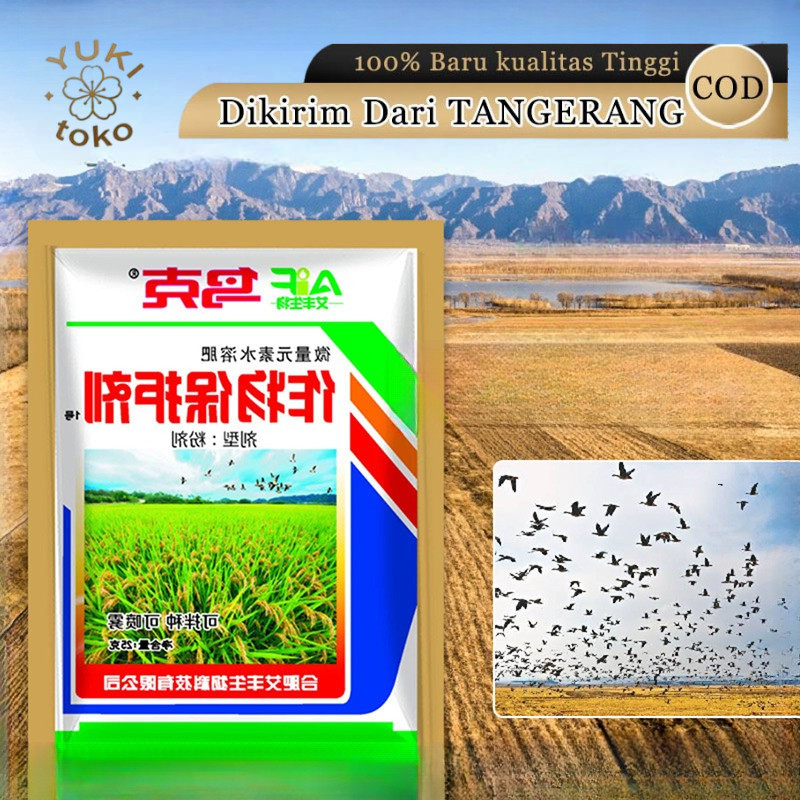 Obat Pengusir Burung di Sawah Obat burung di sawah dan pengusir tikus Mengusir Emprit