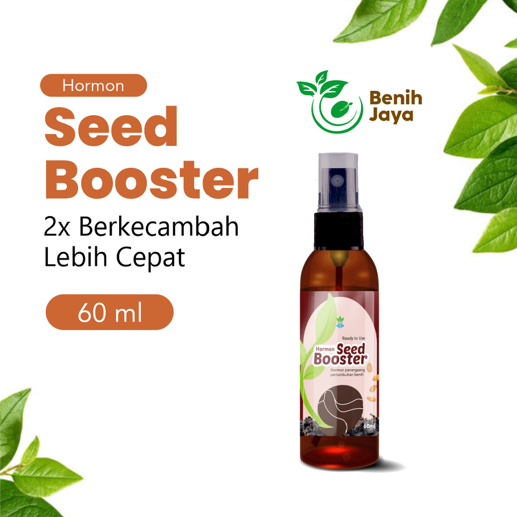 BENIH JAYA - Seed Booster Spray 60 ml Perangsang Bibit Sayuran Bibit Cabe Rawit Unggul Ampuh 100%